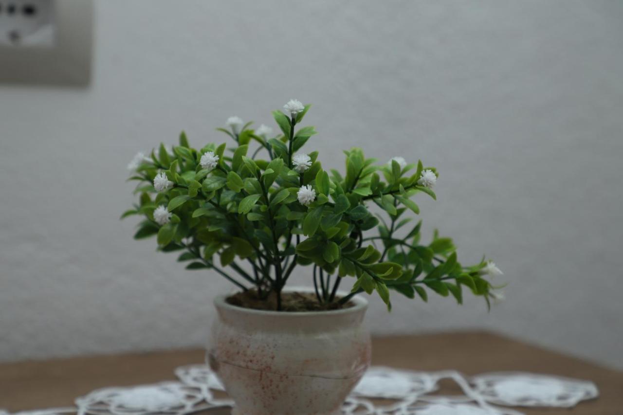Villa Cerpja Kamez 外观 照片